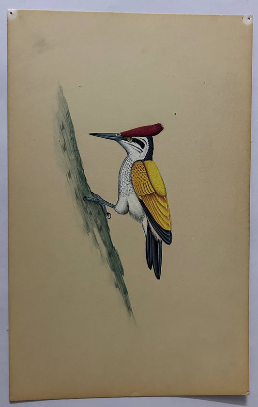 Animal painting