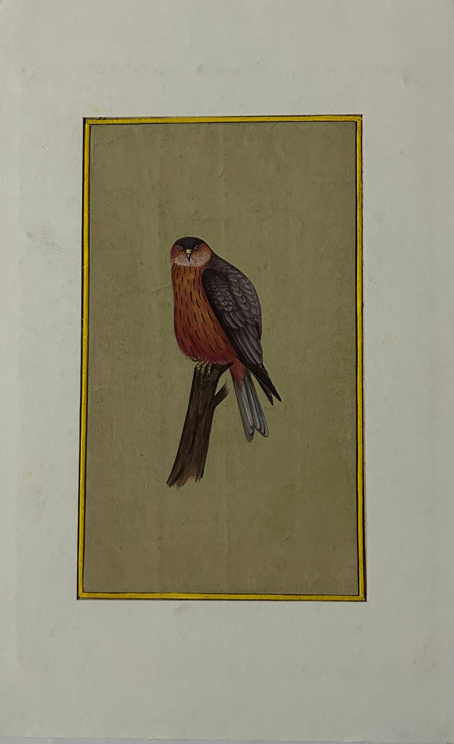 Bird painting