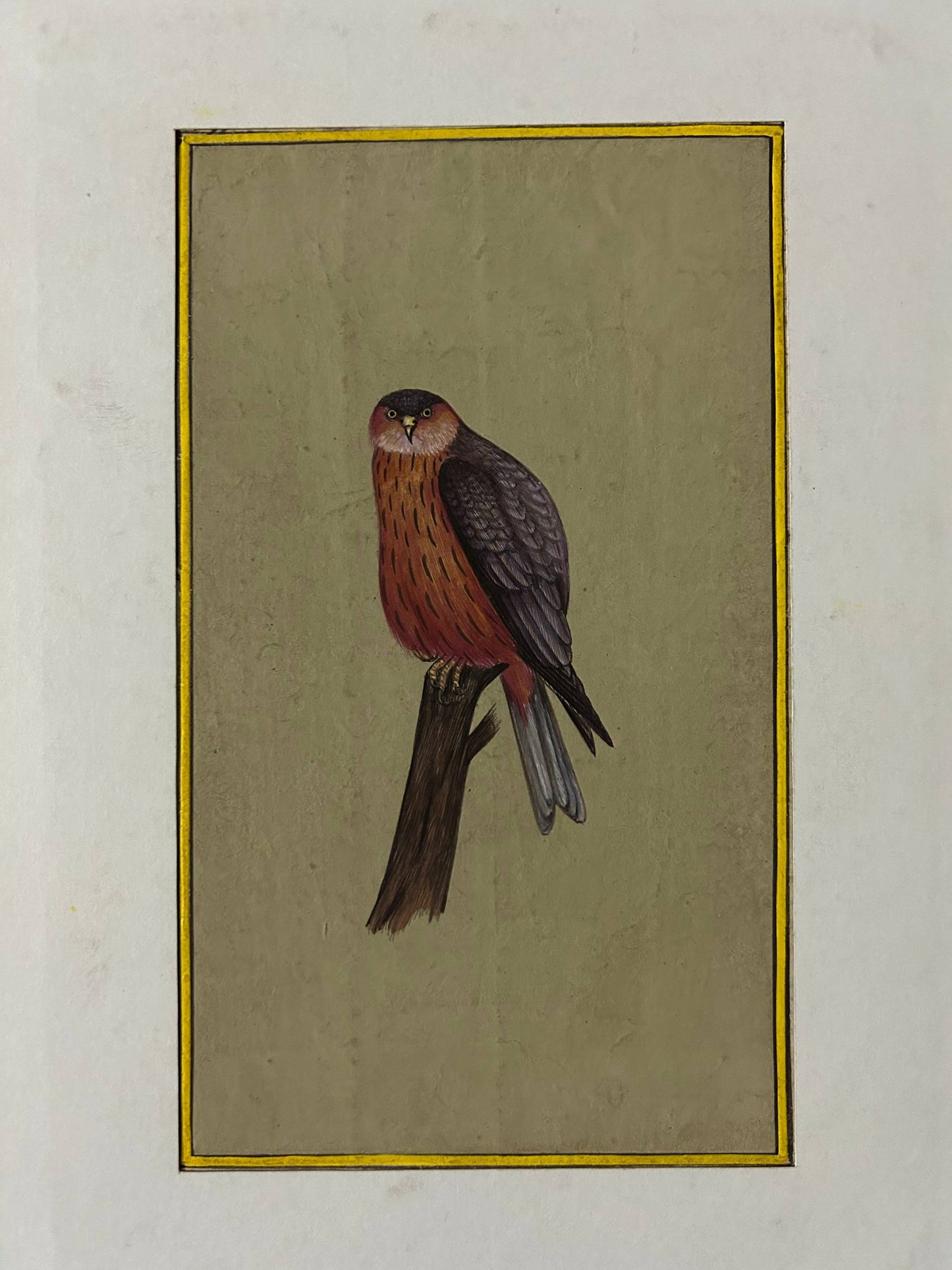 Bird painting