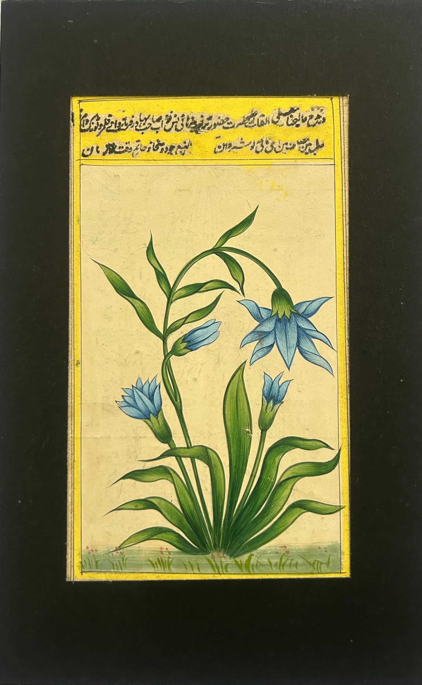 Hand-painted  Miniature flowers