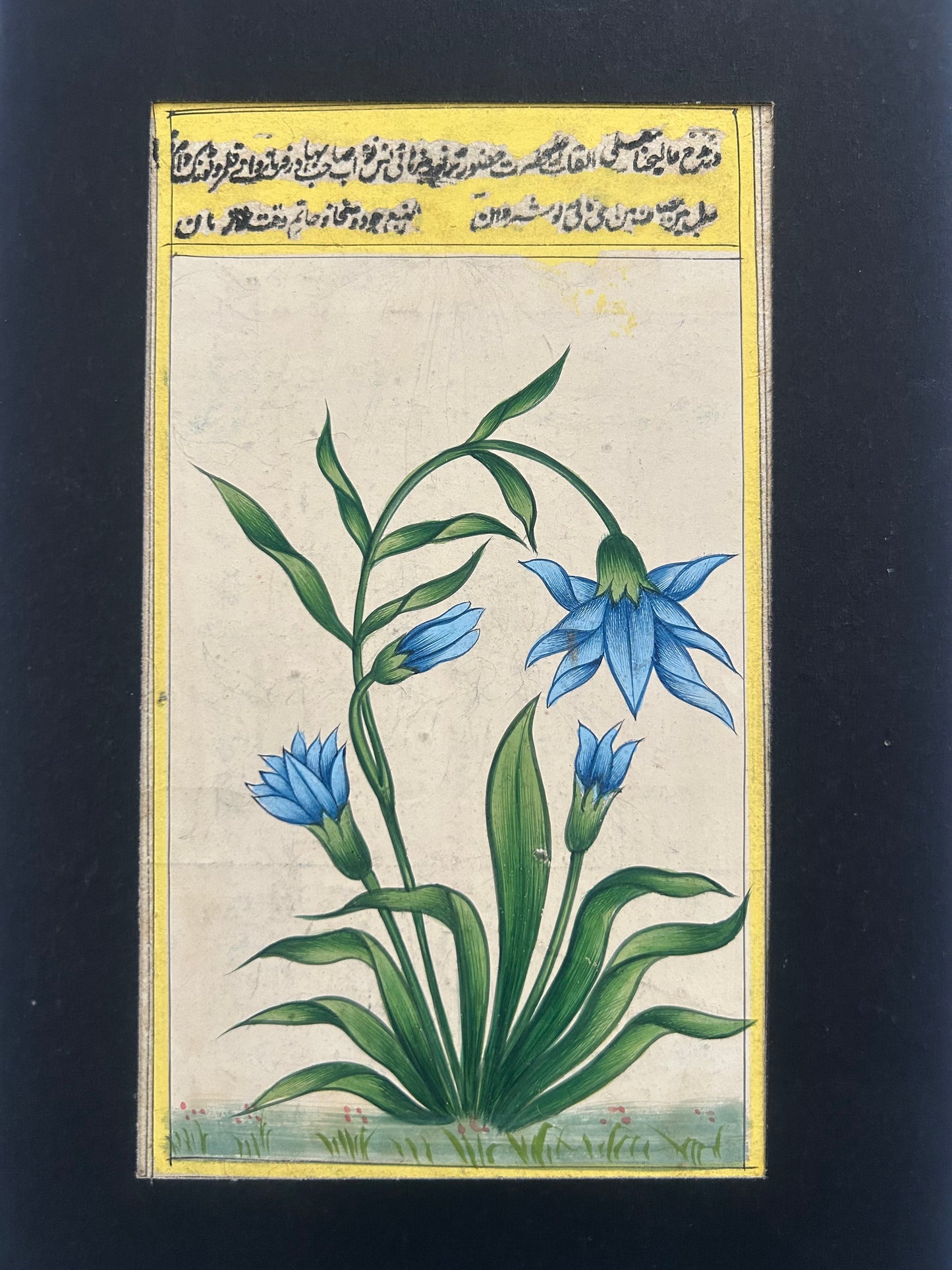 Hand-painted  Miniature flowers