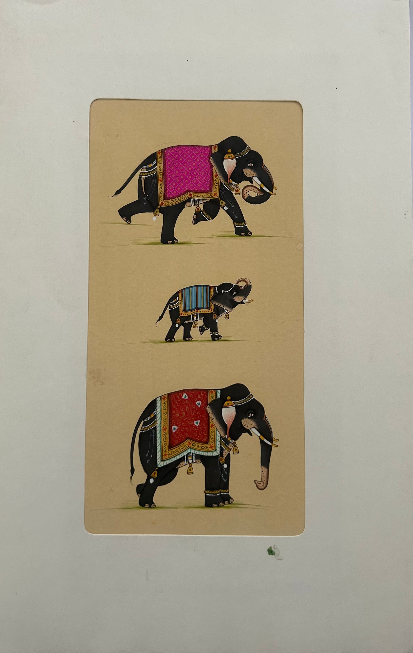 Indian Miniature Animal Painting