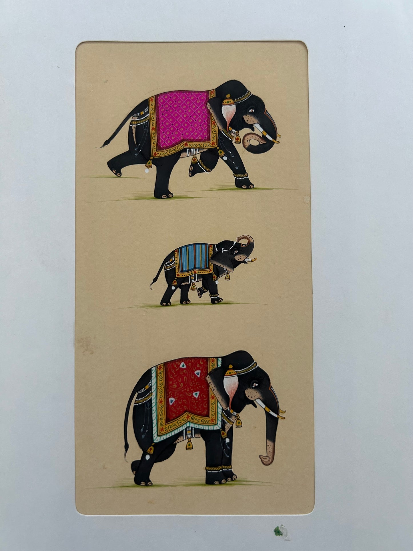 Indian Miniature Animal Painting