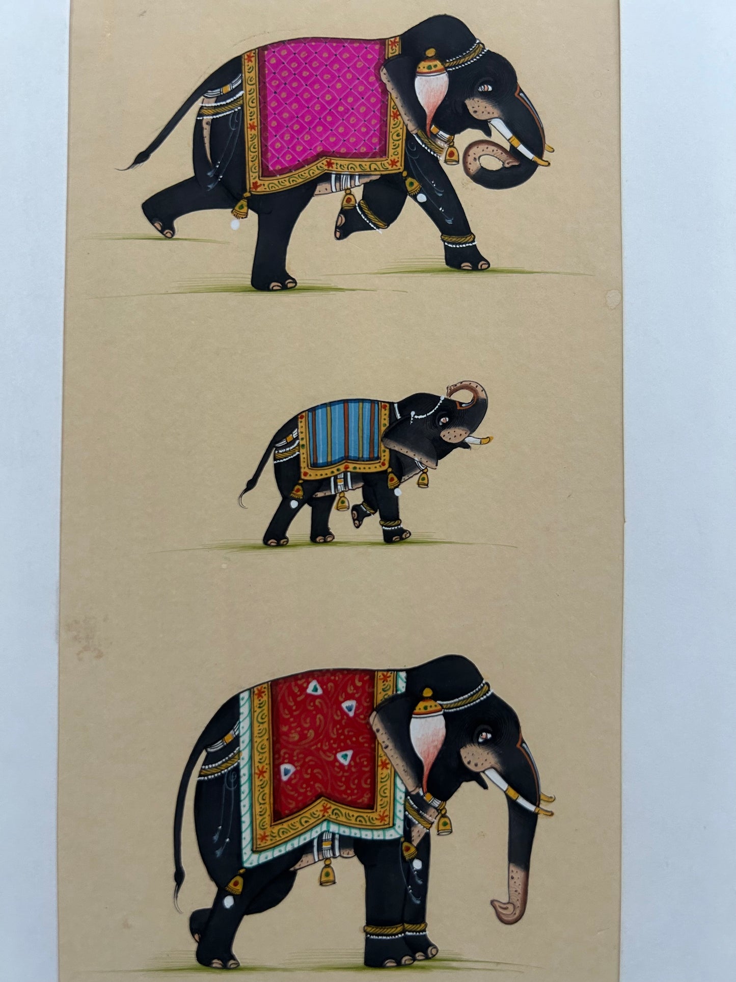 Indian Miniature Animal Painting