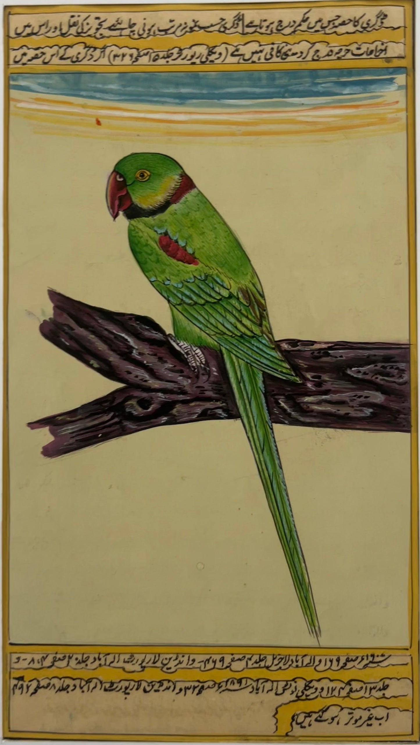Miniature bird painting