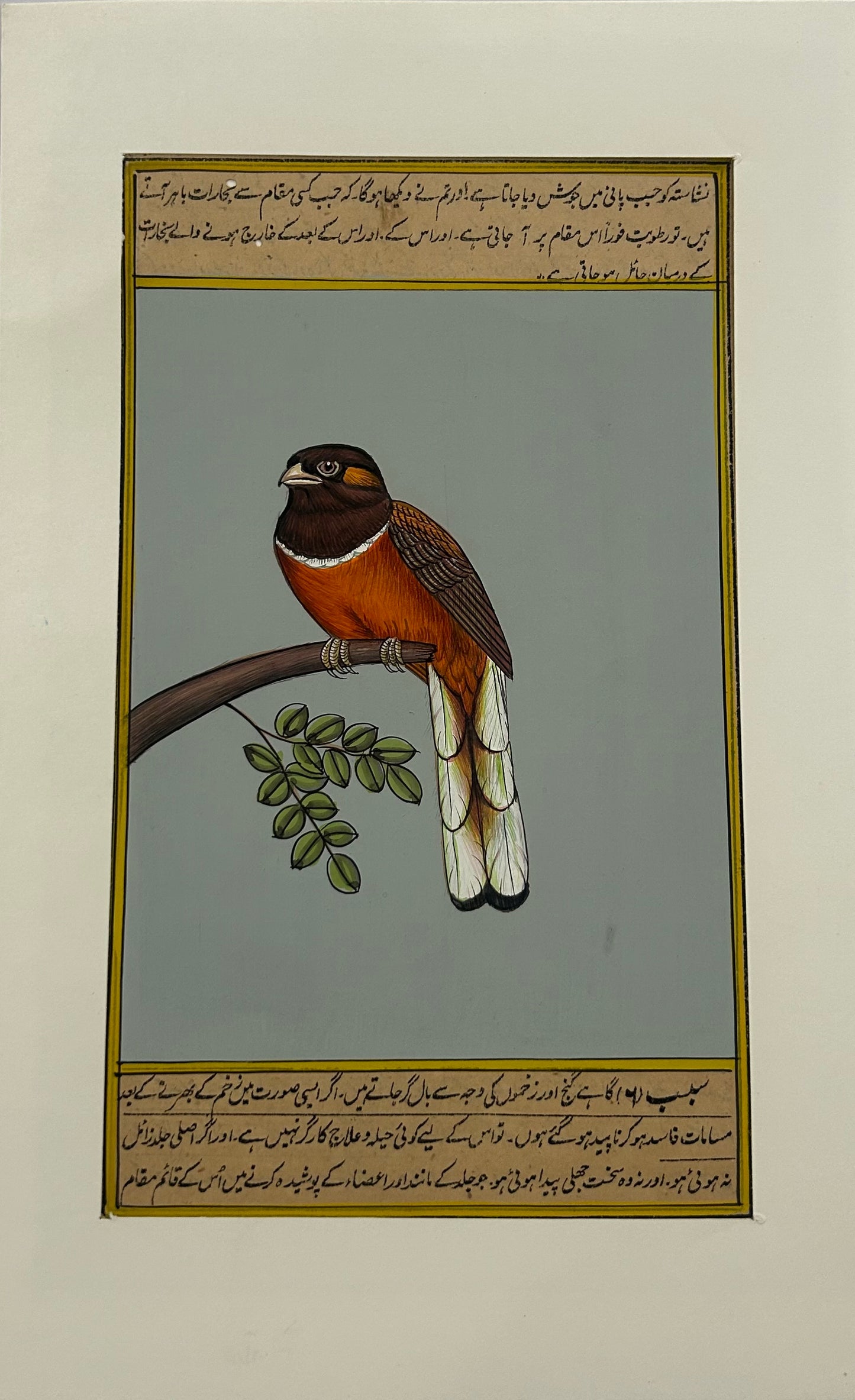 Miniature bird painting