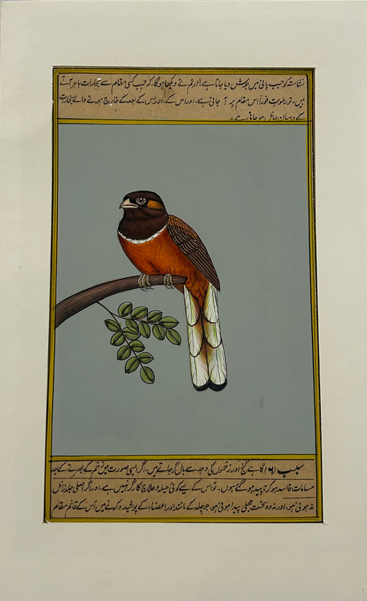 Miniature bird painting