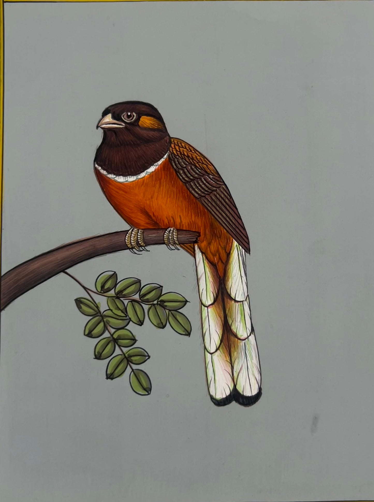 Miniature bird painting