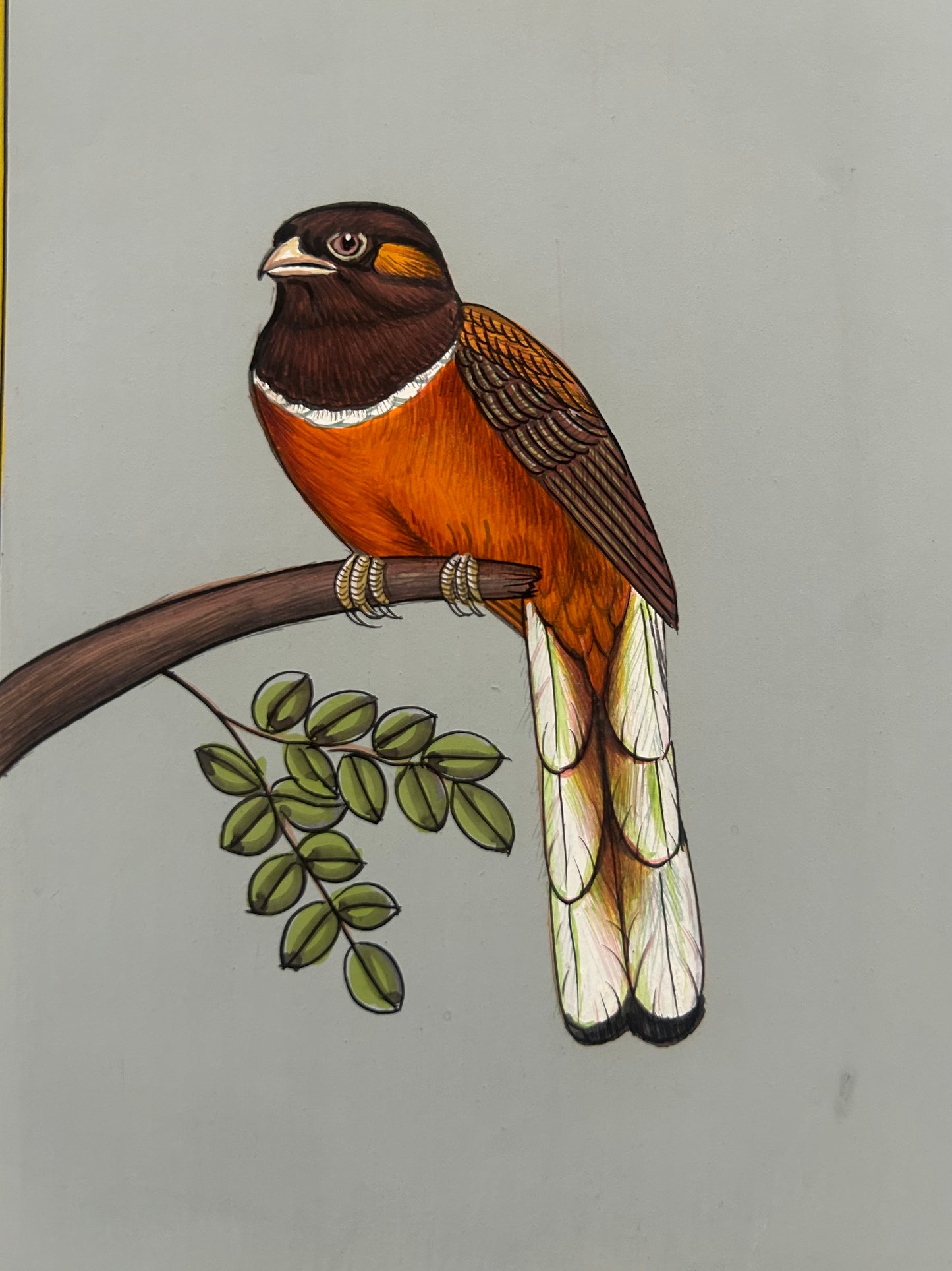 Miniature bird painting