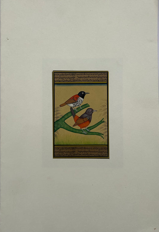 Miniature bird painting