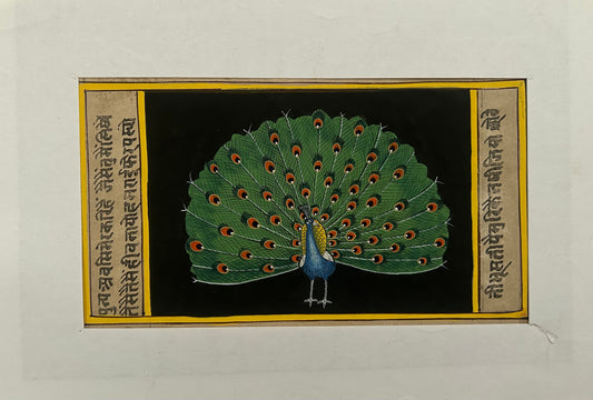 Miniature bird painting