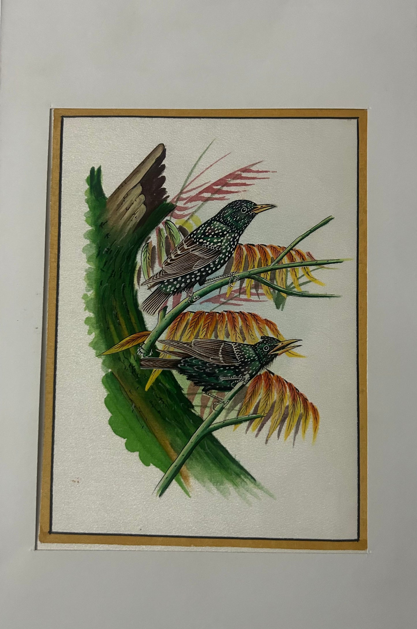 Traditional Indian bird miniature painting