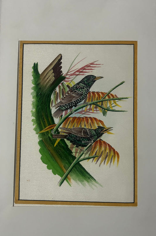 Traditional Indian bird miniature painting
