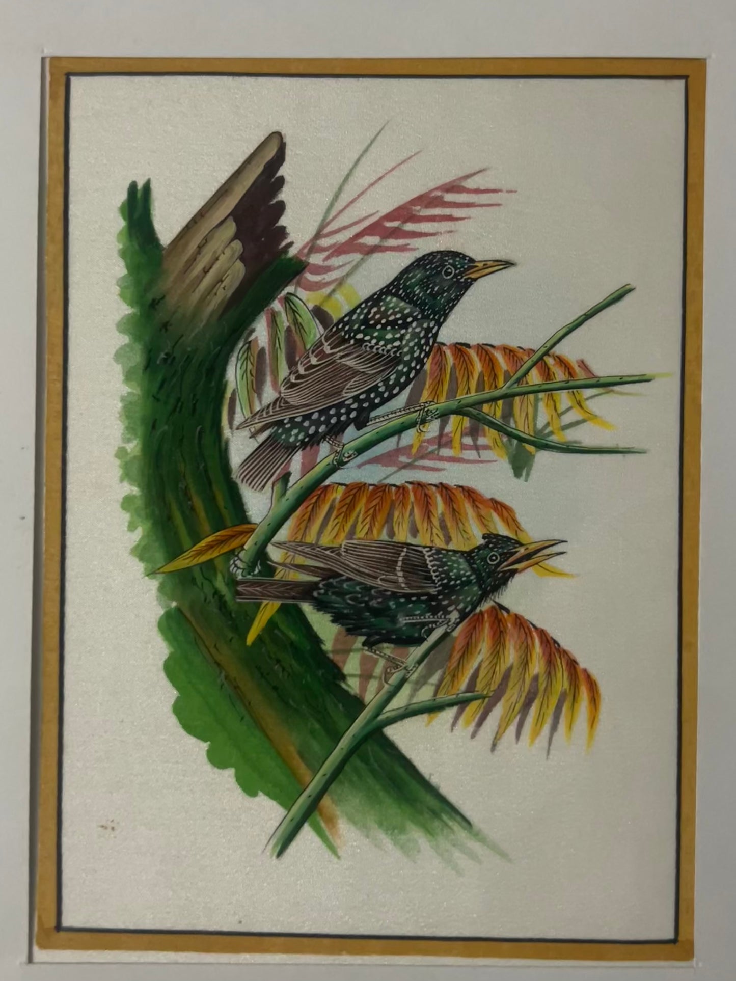 Traditional Indian bird miniature painting