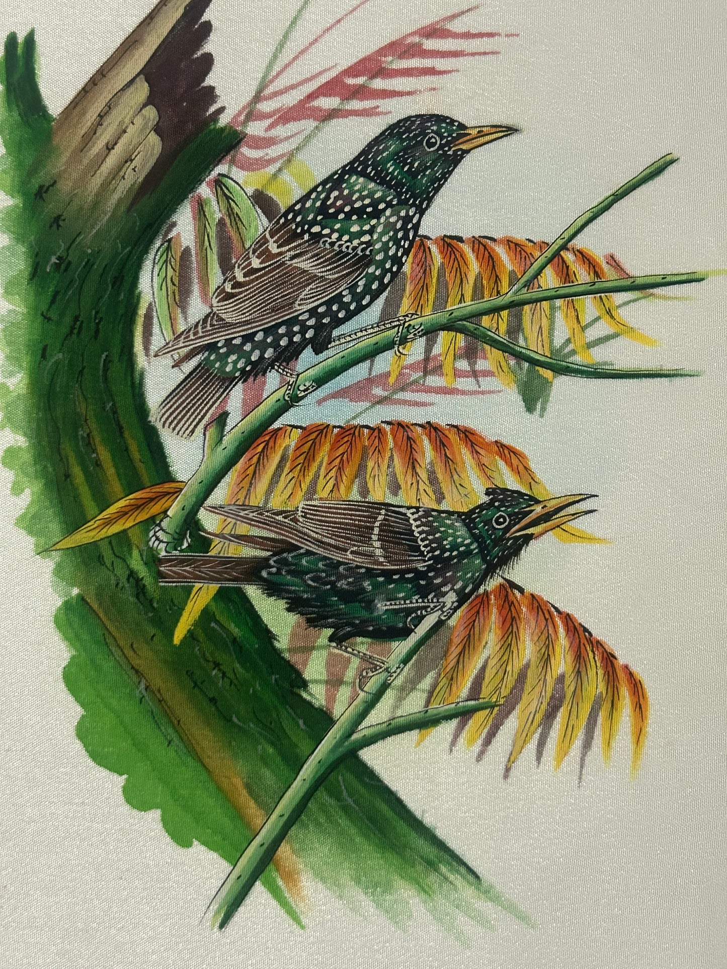Traditional Indian bird miniature painting