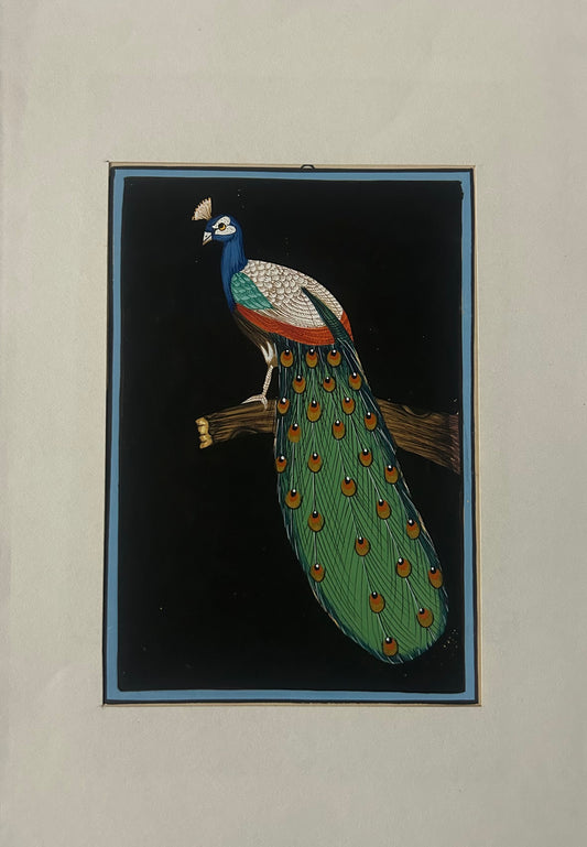Traditional Indian bird miniature painting