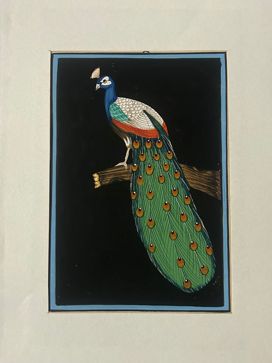 Traditional Indian bird miniature painting