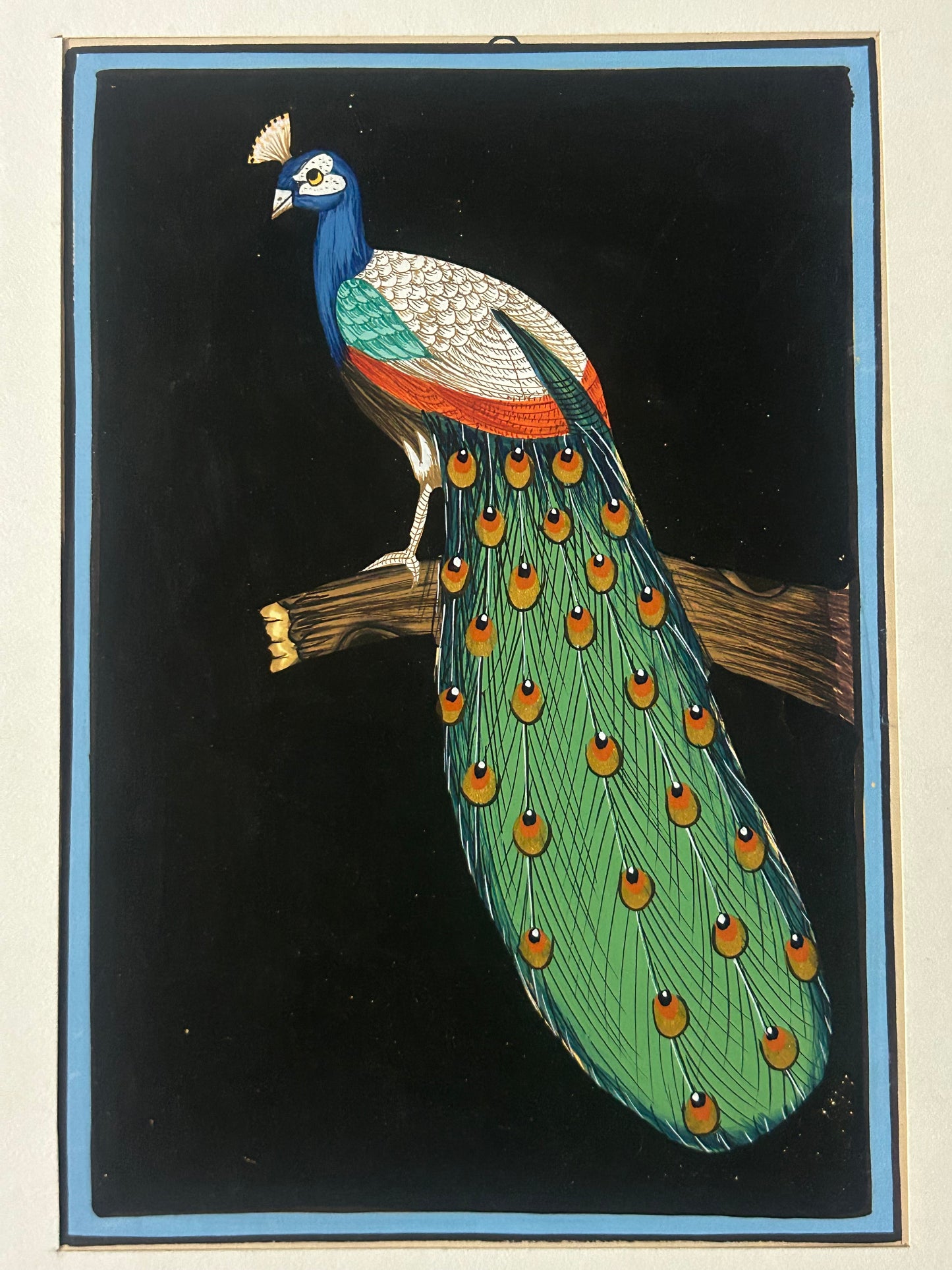 Traditional Indian bird miniature painting