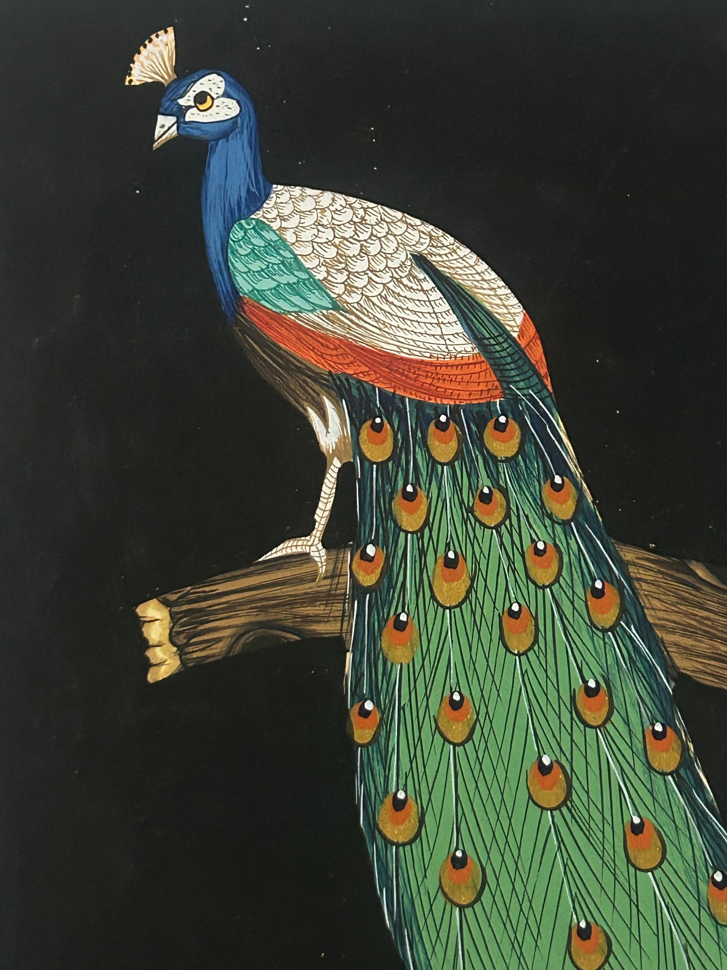Traditional Indian bird miniature painting