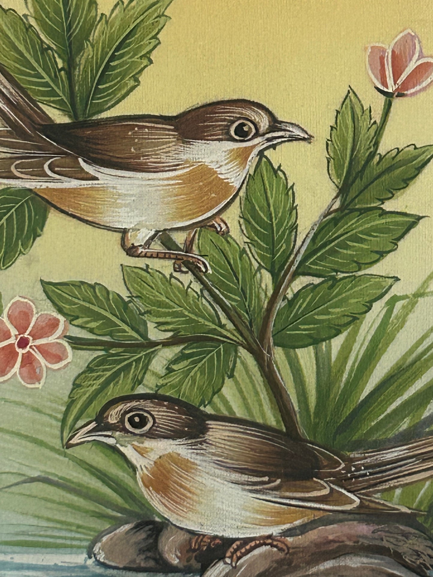 Traditional Indian bird miniature painting
