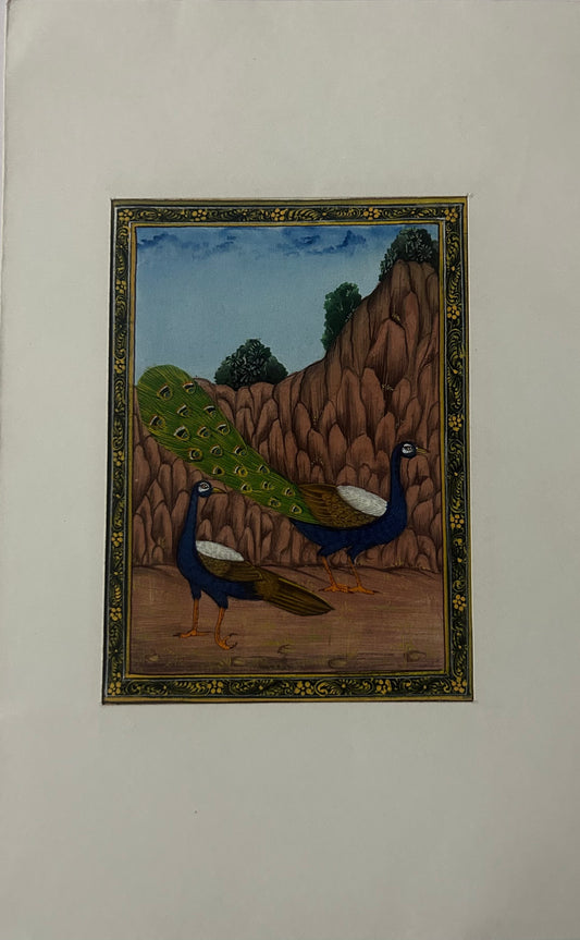 Traditional Indian bird miniature painting