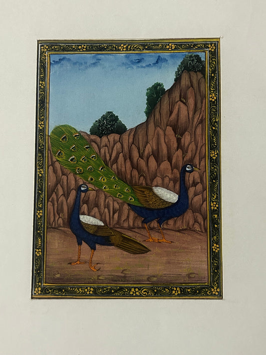 Traditional Indian bird miniature painting