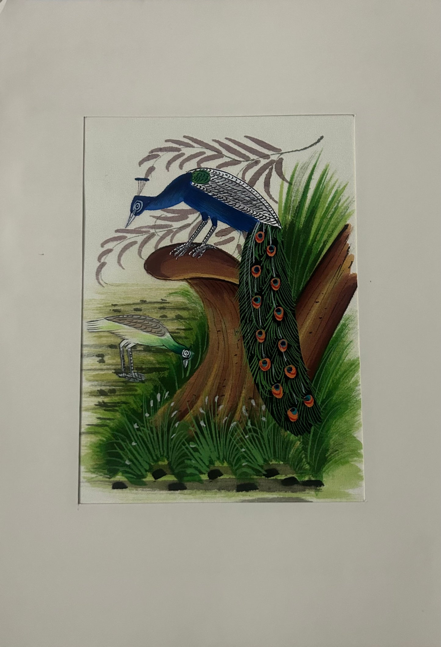 Traditional Indian bird miniature painting