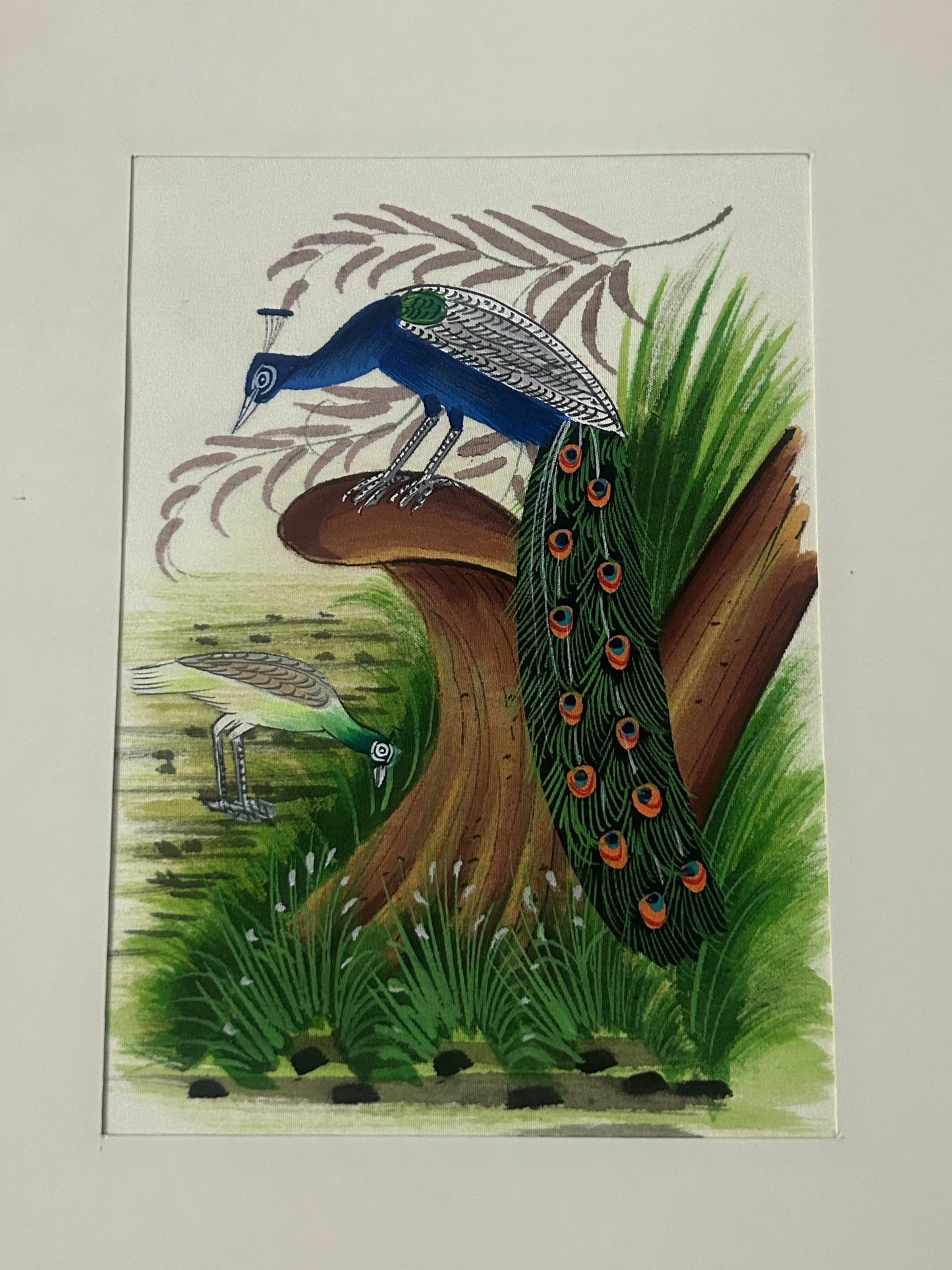Traditional Indian bird miniature painting