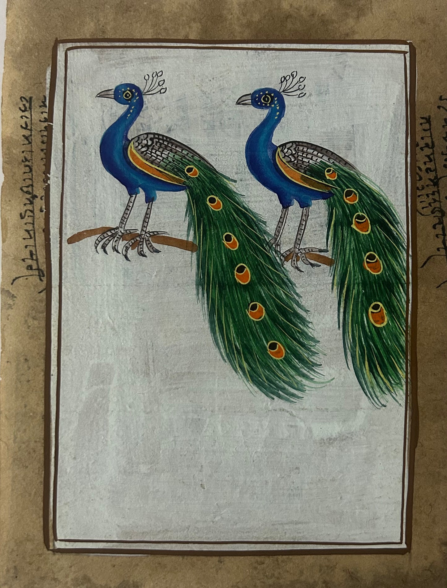 Traditional Indian bird miniature painting