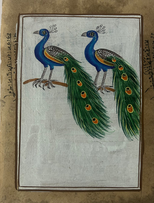 Traditional Indian bird miniature painting