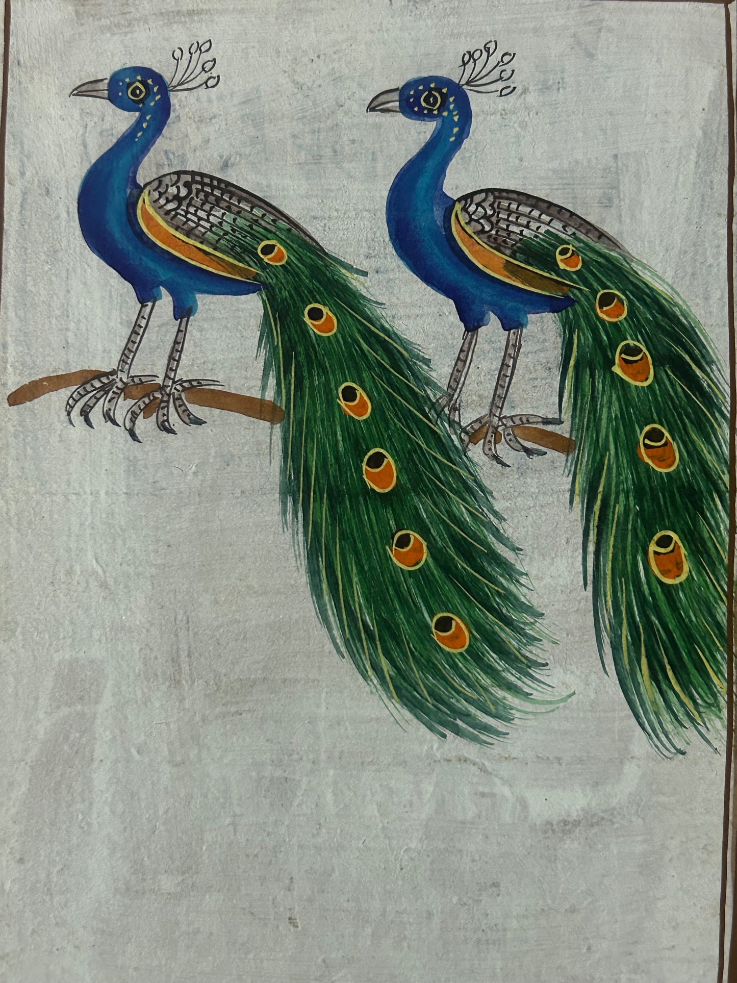 Traditional Indian bird miniature painting