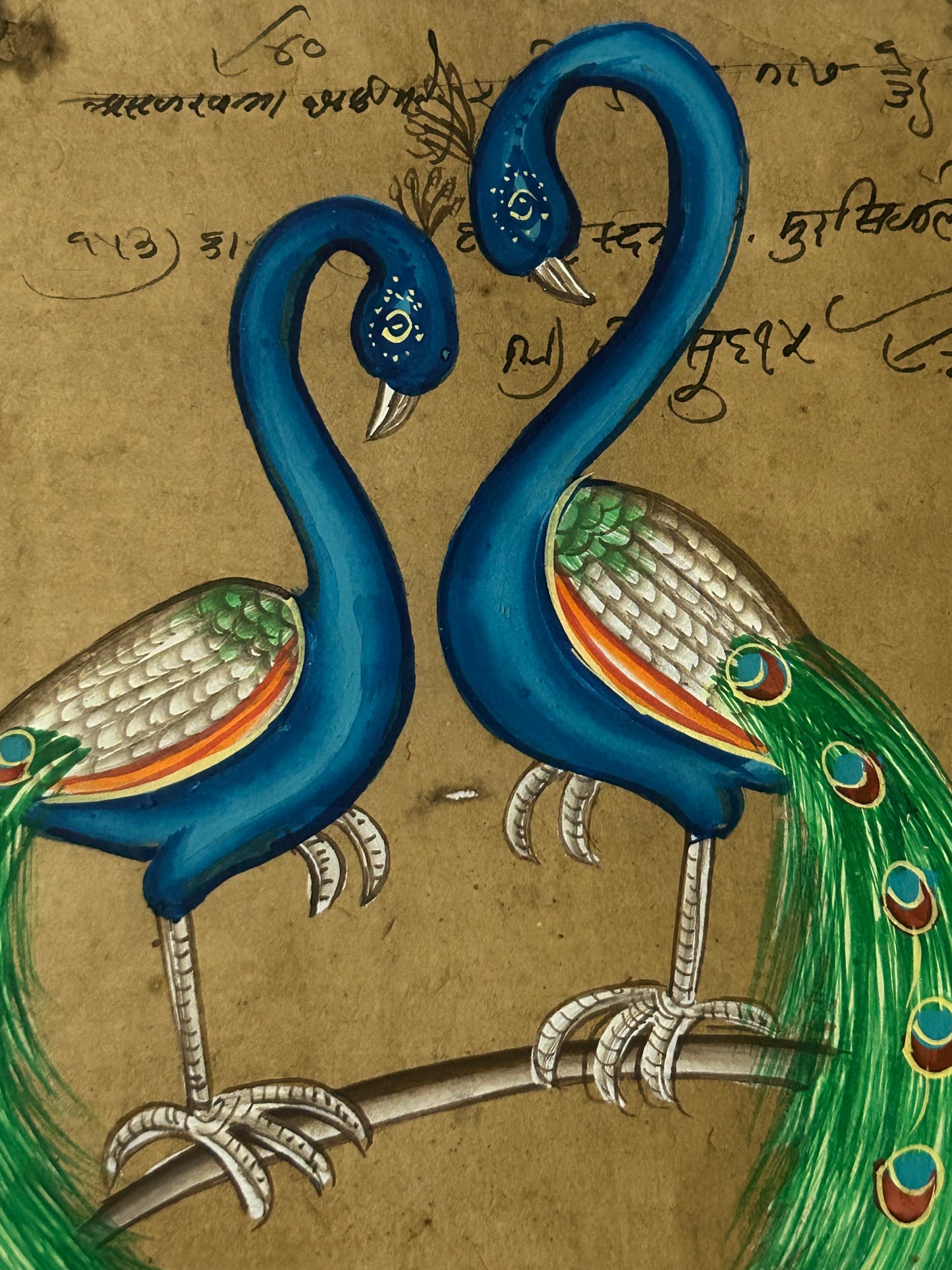 Traditional Indian bird miniature painting