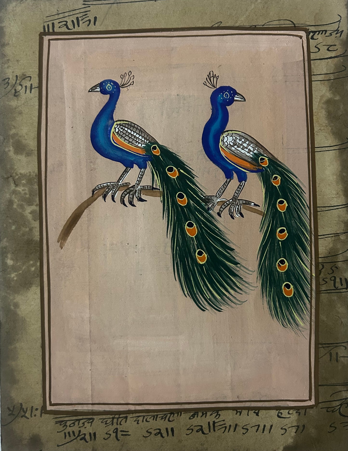 Traditional Indian bird miniature painting