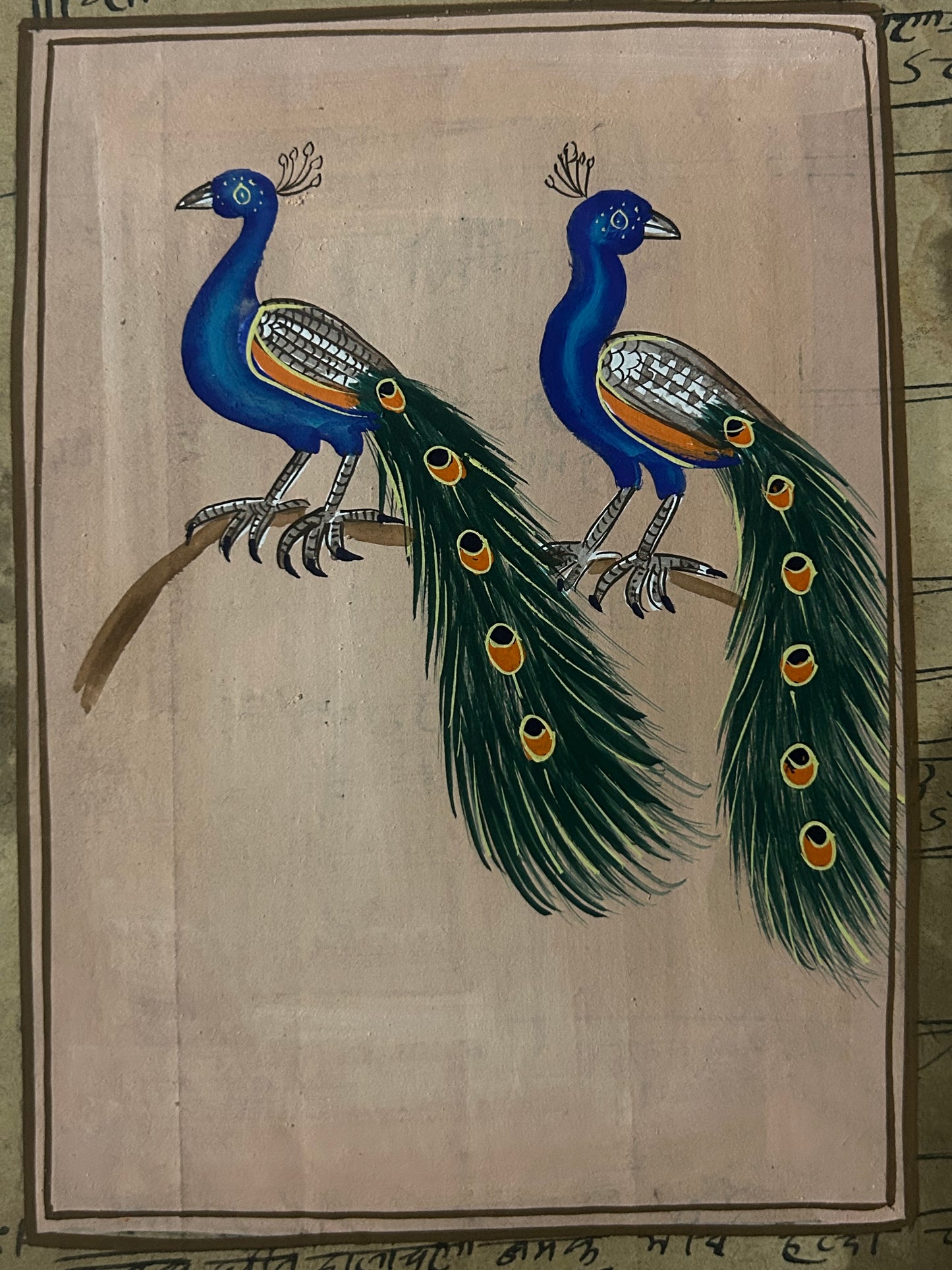 Traditional Indian bird miniature painting