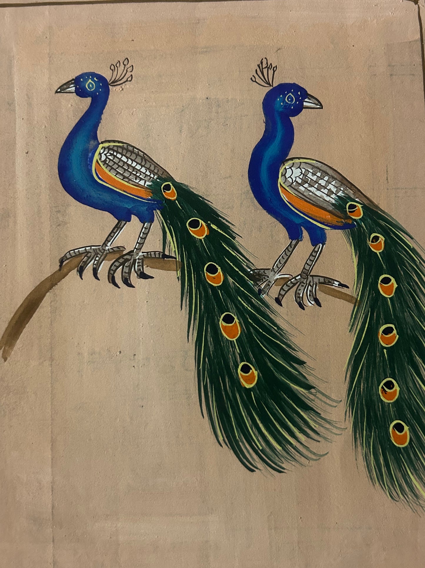 Traditional Indian bird miniature painting