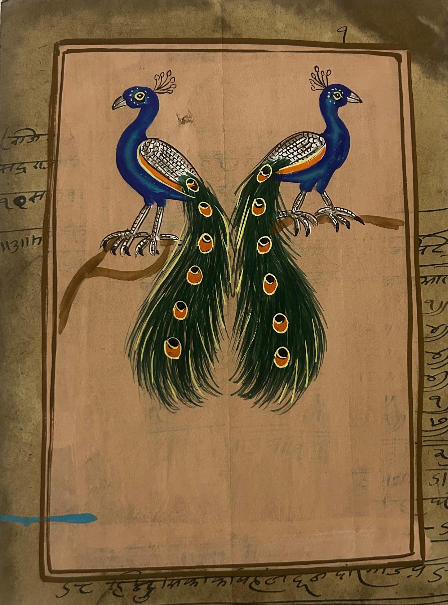 Traditional Indian bird miniature painting
