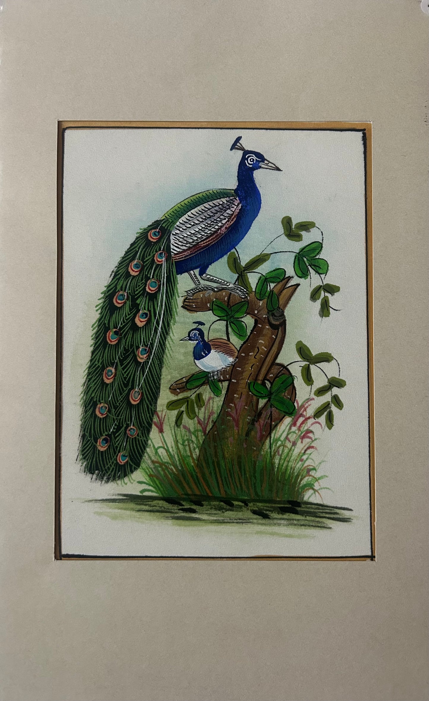 Traditional Indian bird miniature painting