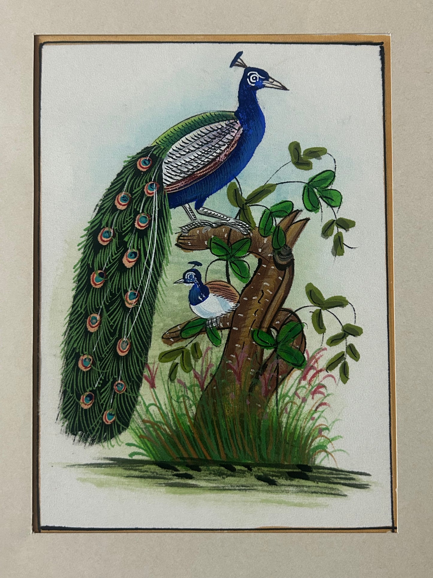 Traditional Indian bird miniature painting