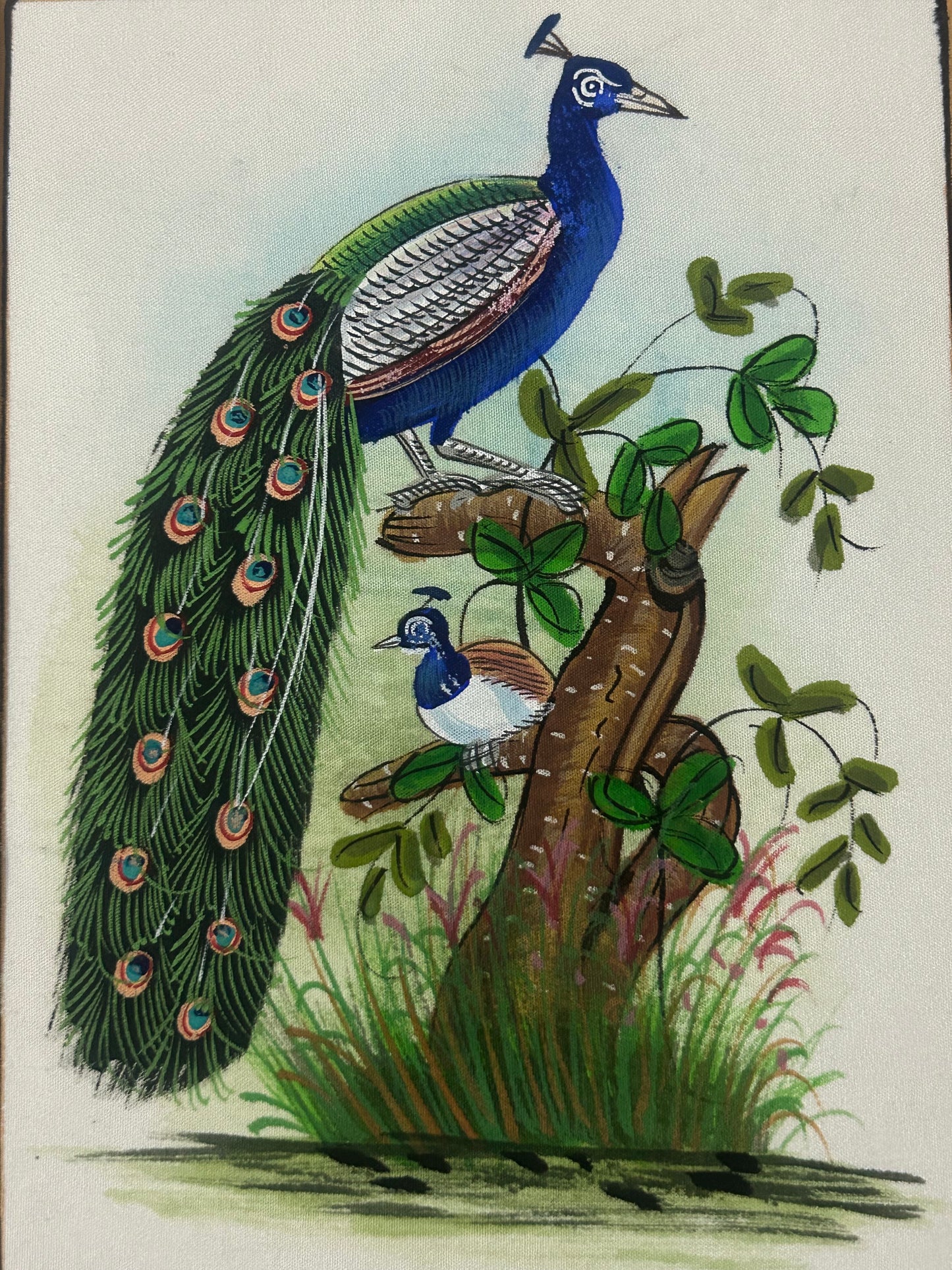 Traditional Indian bird miniature painting