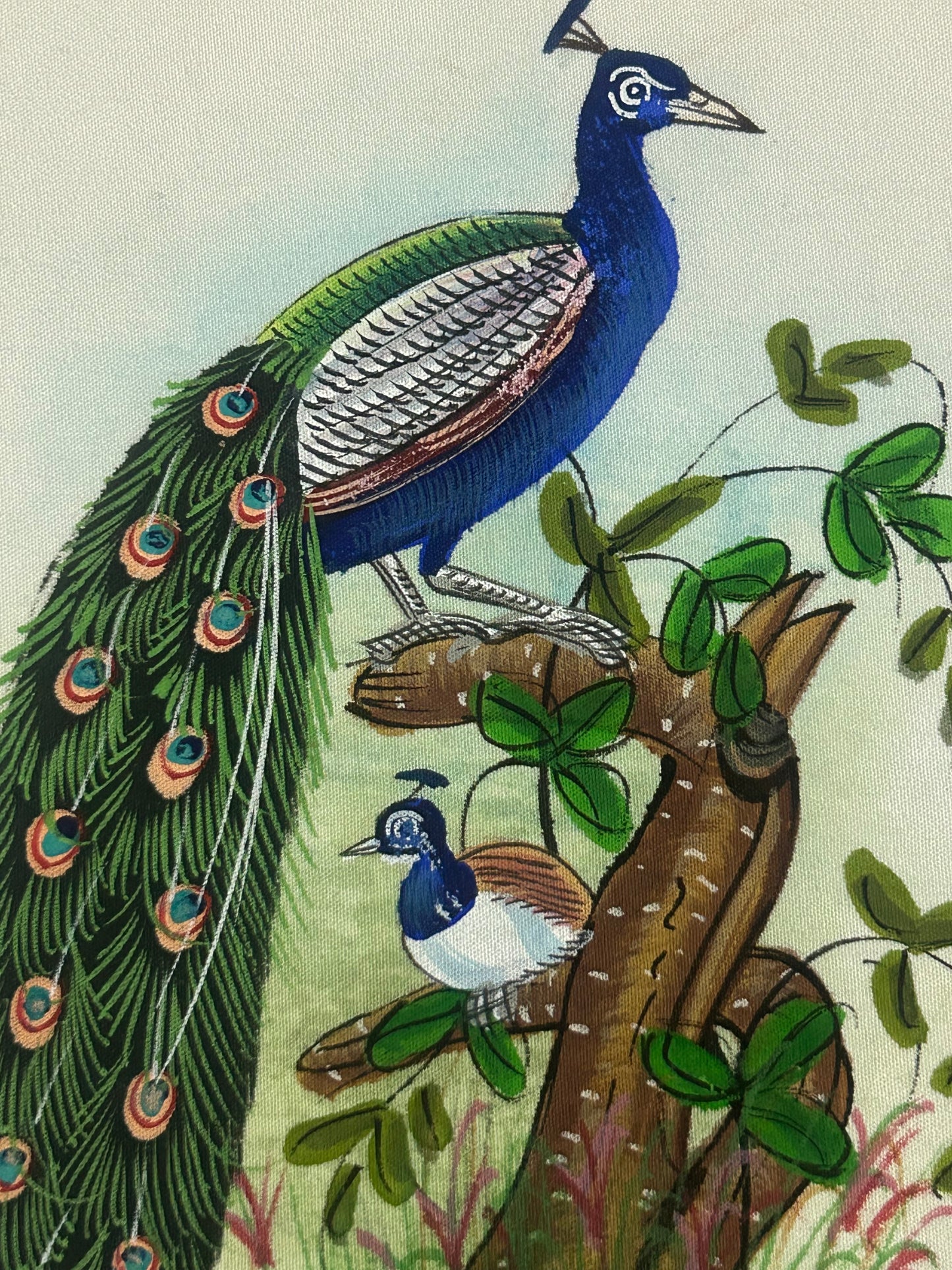 Traditional Indian bird miniature painting