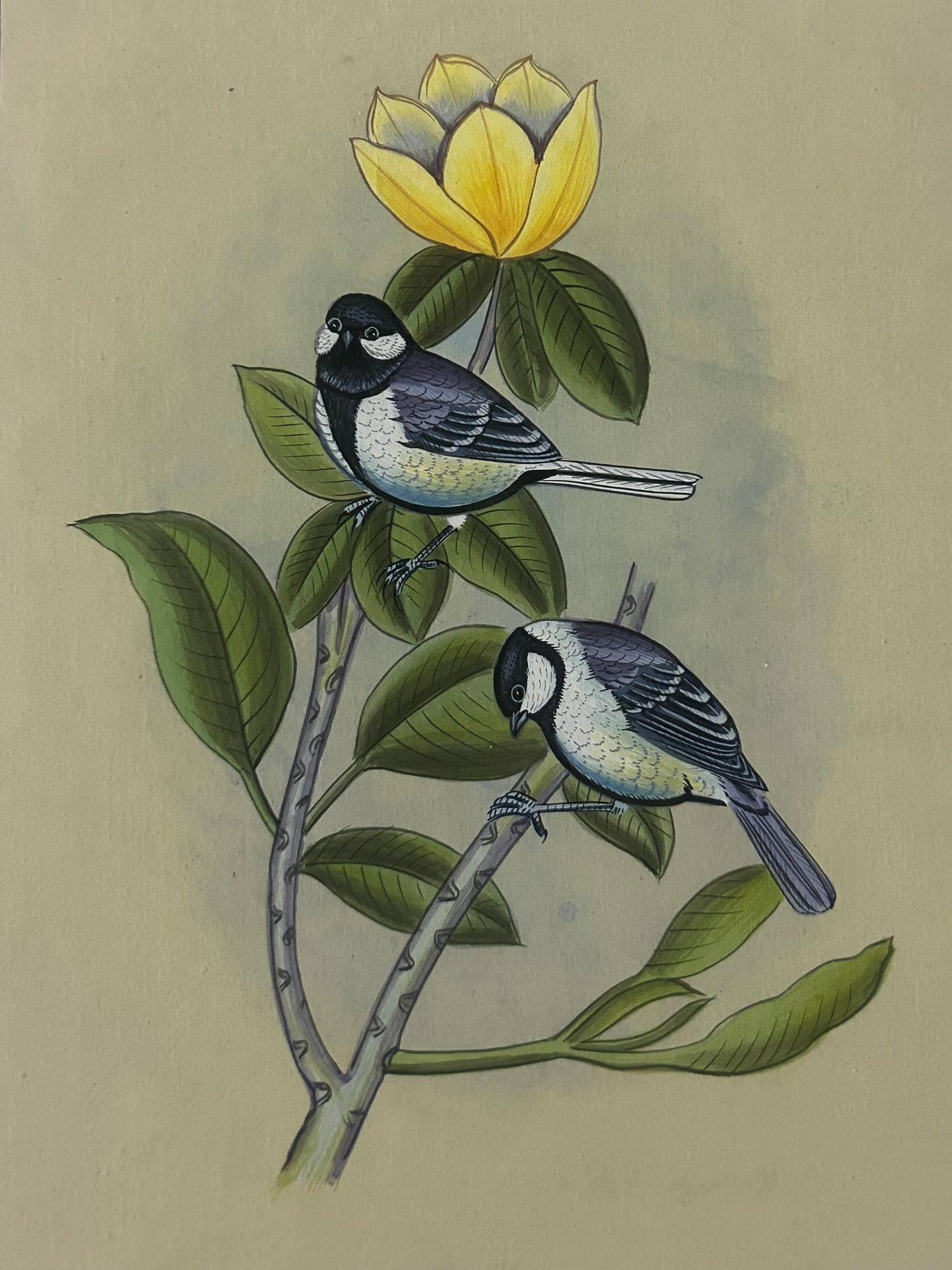 Traditional Indian bird miniature painting