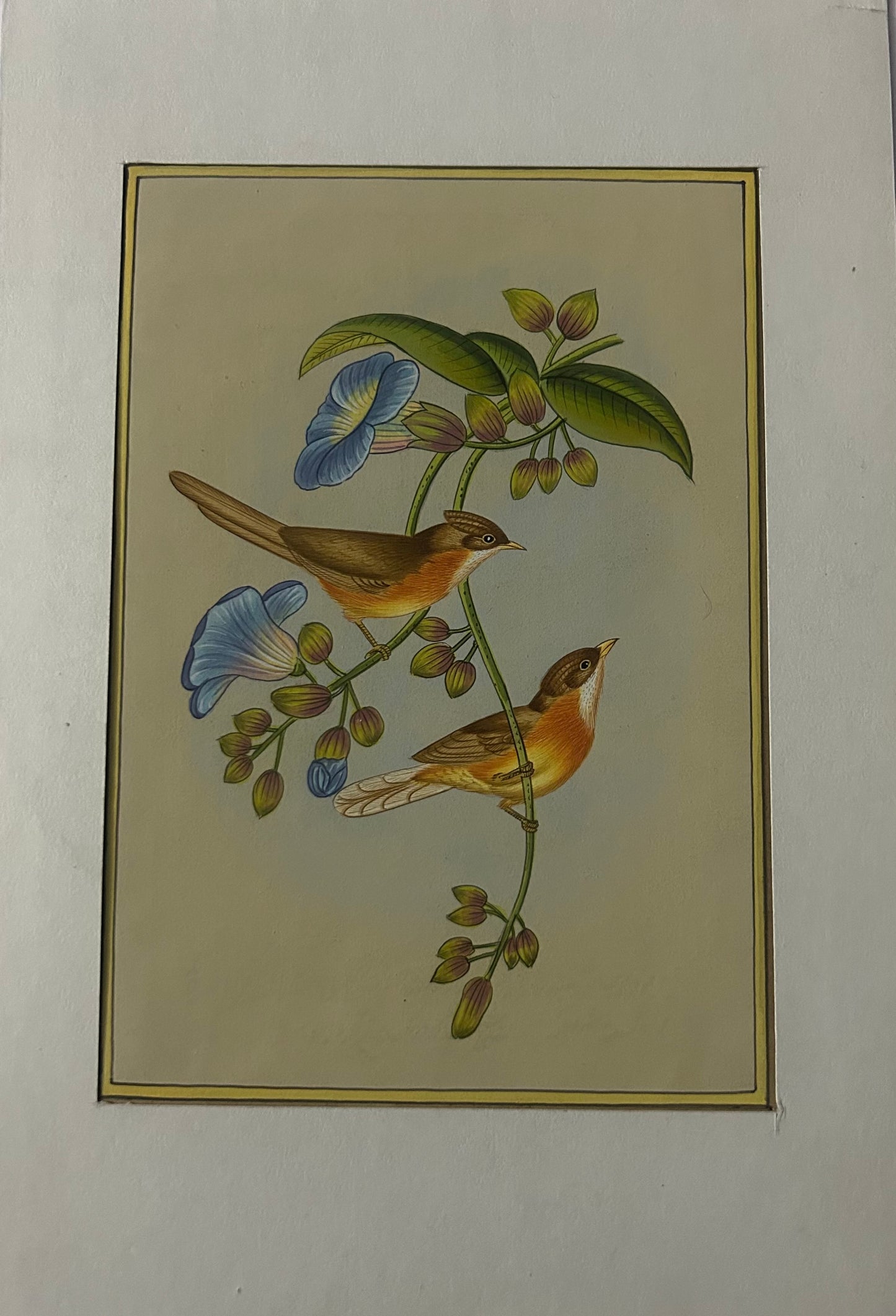 Traditional Indian bird miniature painting