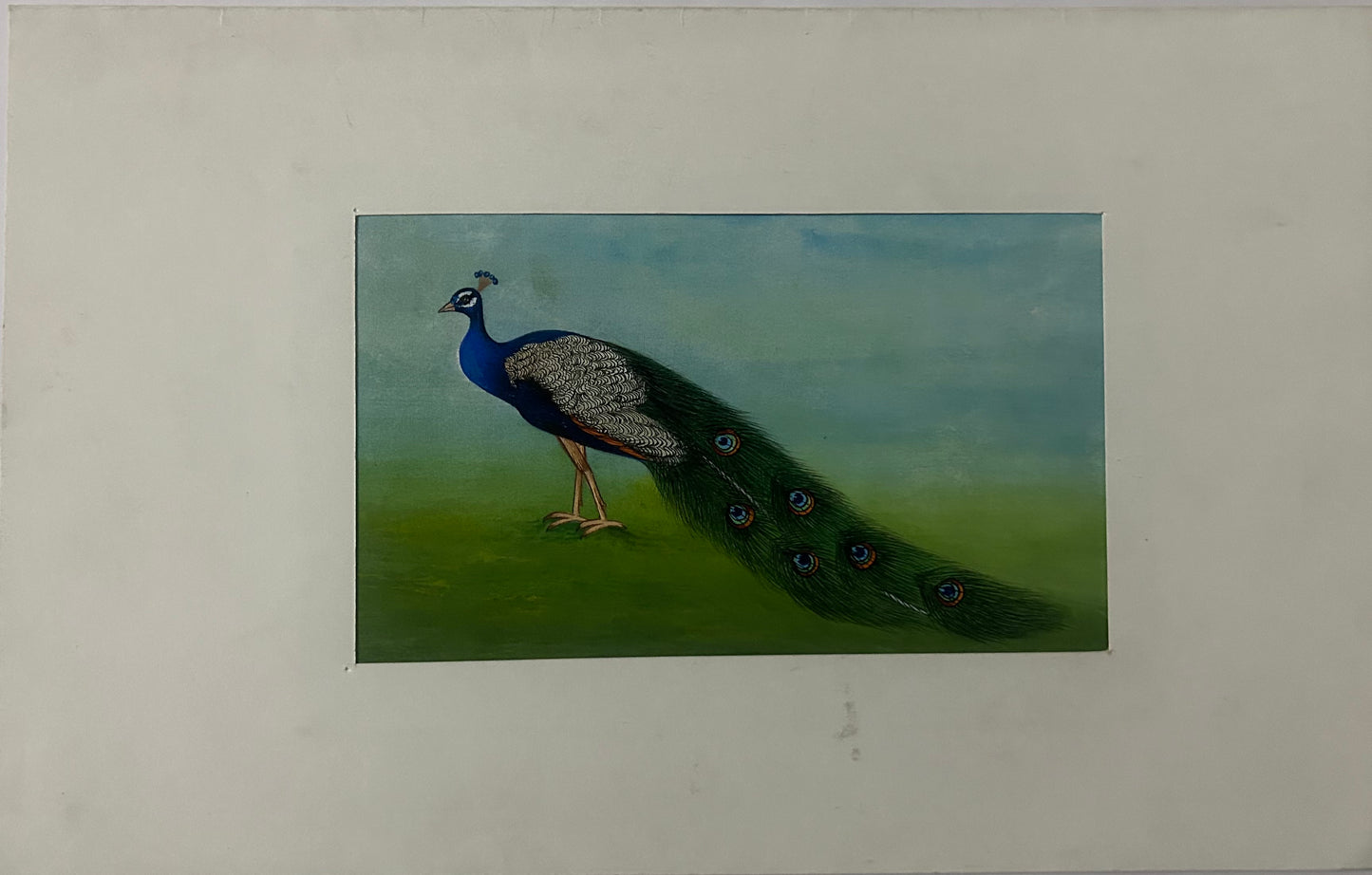 Traditional Indian bird miniature painting