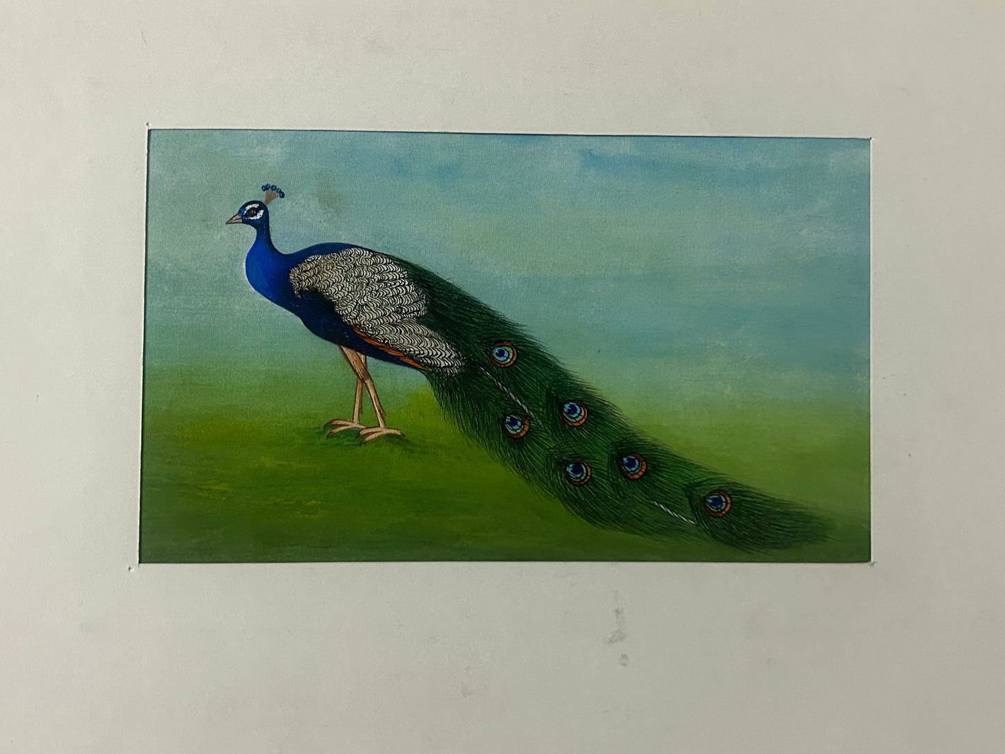Traditional Indian bird miniature painting