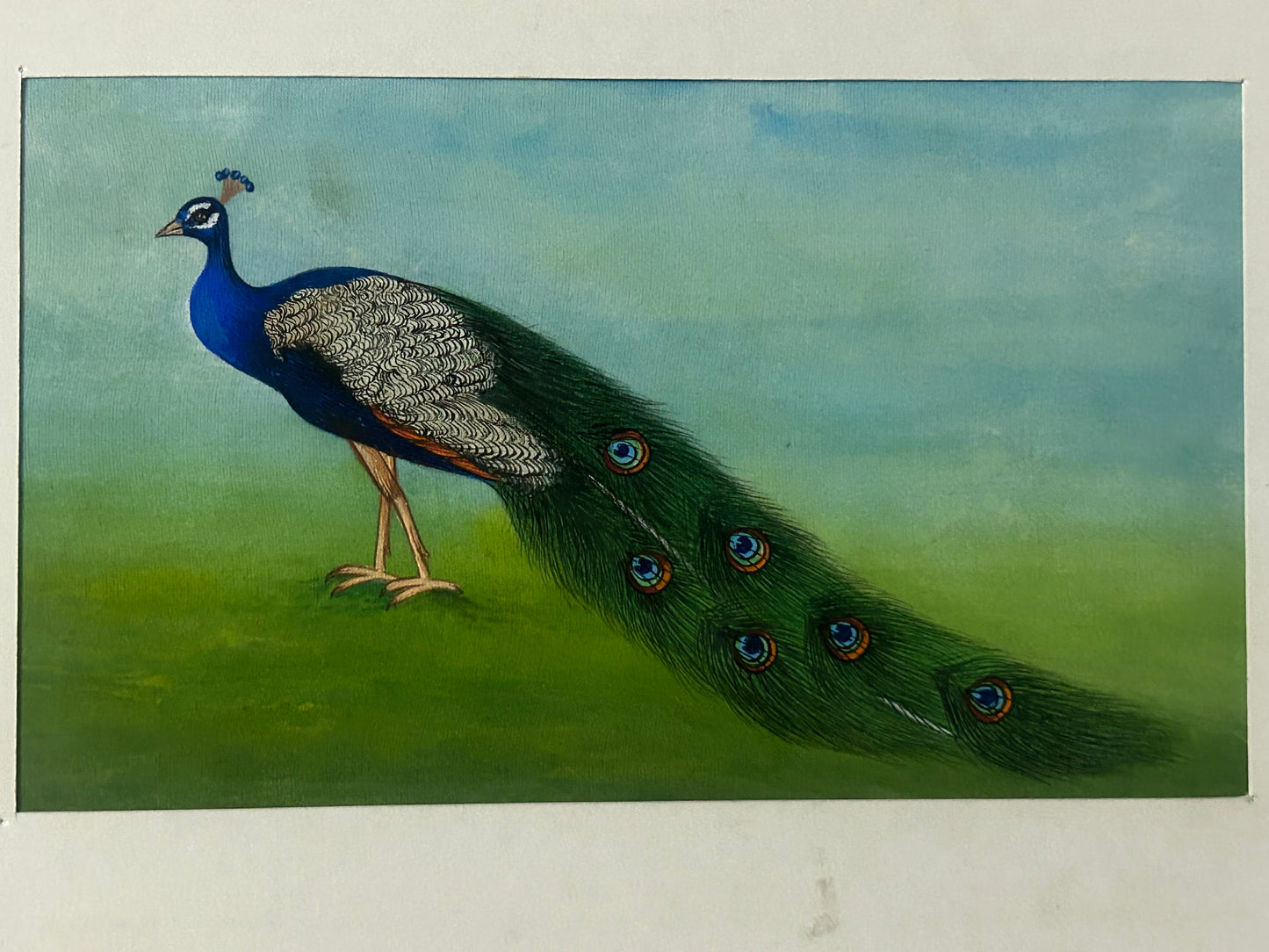 Traditional Indian bird miniature painting