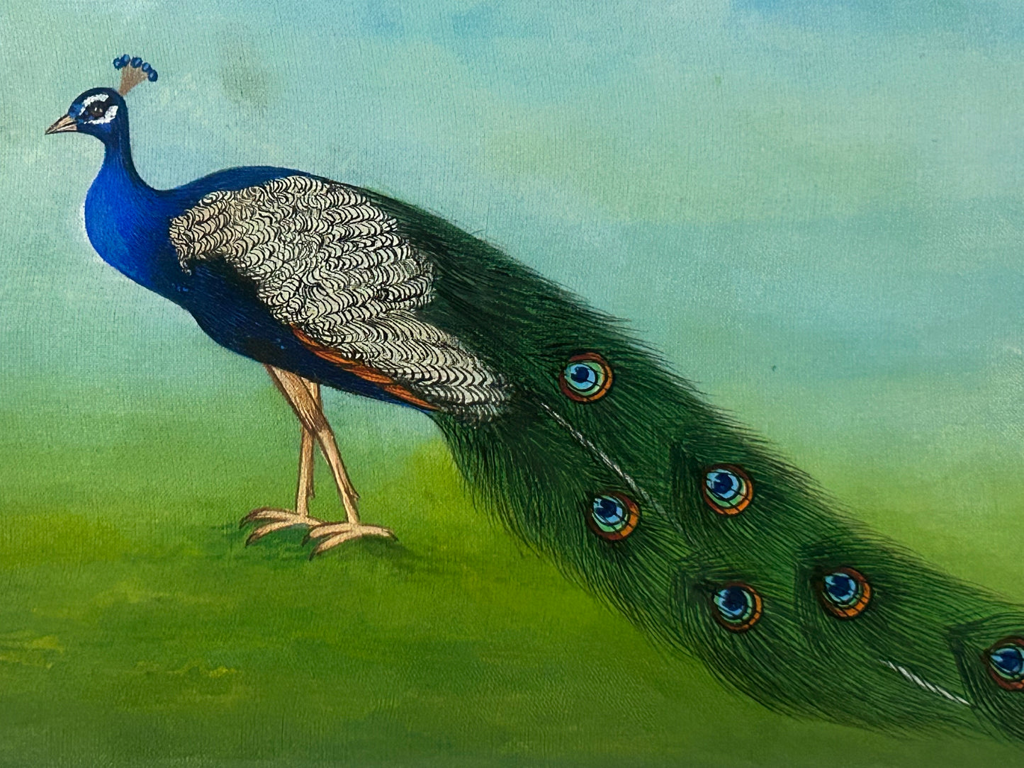 Traditional Indian bird miniature painting