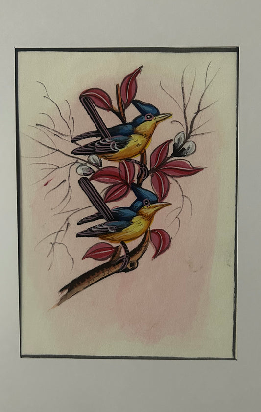Traditional Indian bird miniature painting