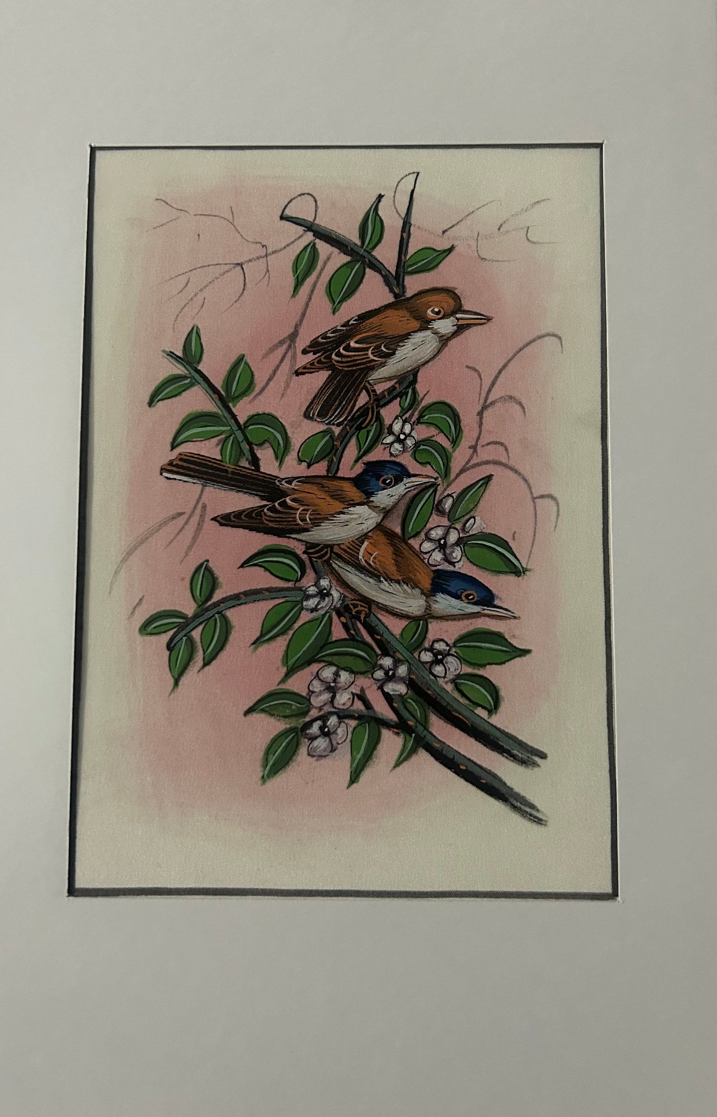 Traditional Indian bird miniature painting