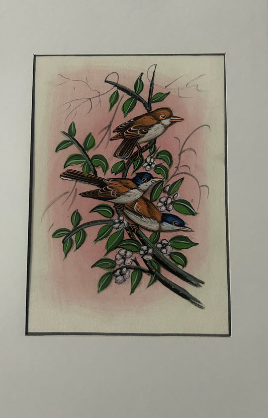 Traditional Indian bird miniature painting
