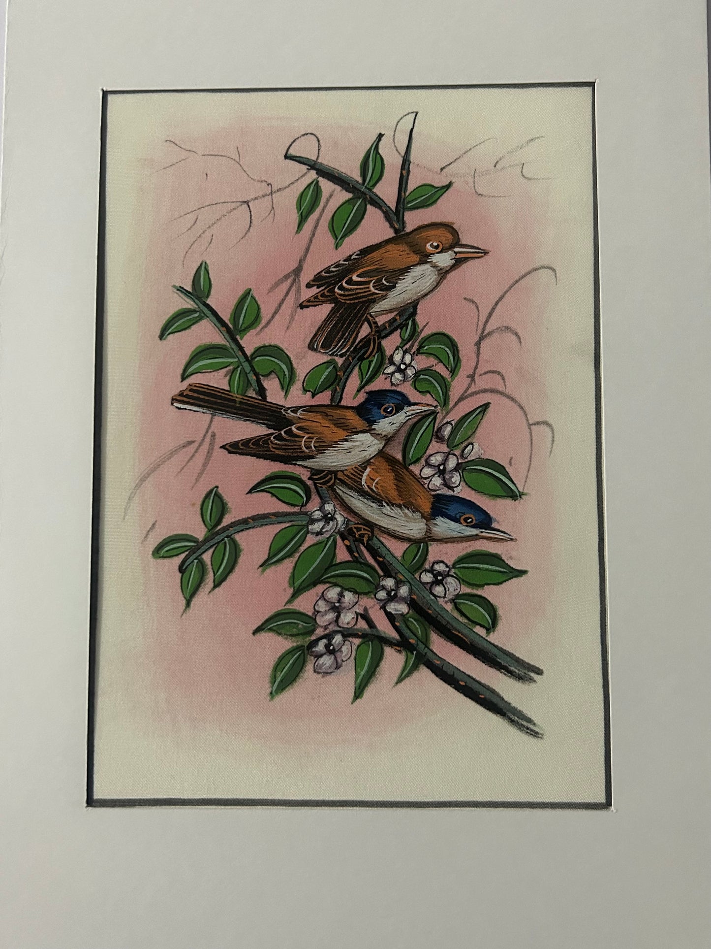 Traditional Indian bird miniature painting